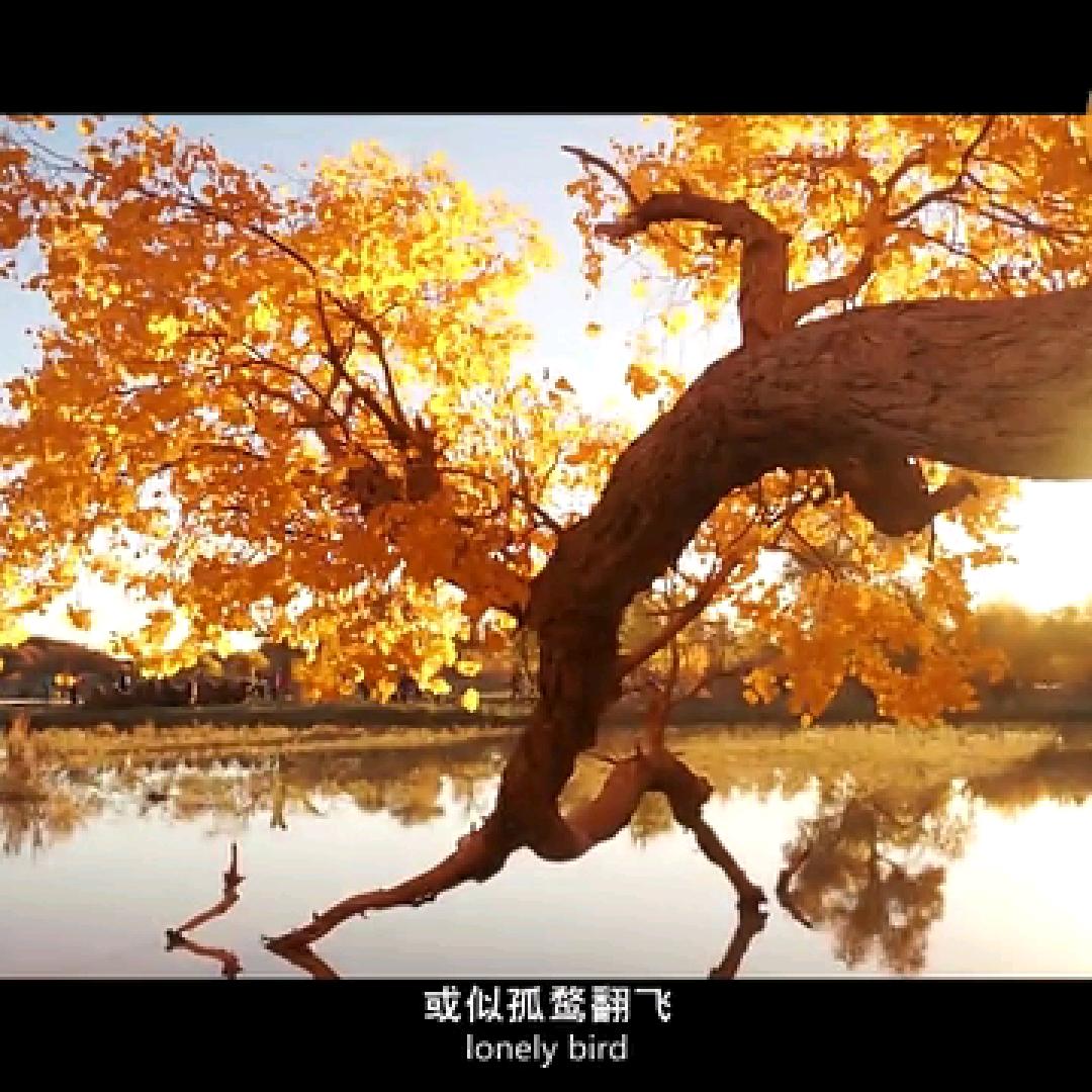 水立方