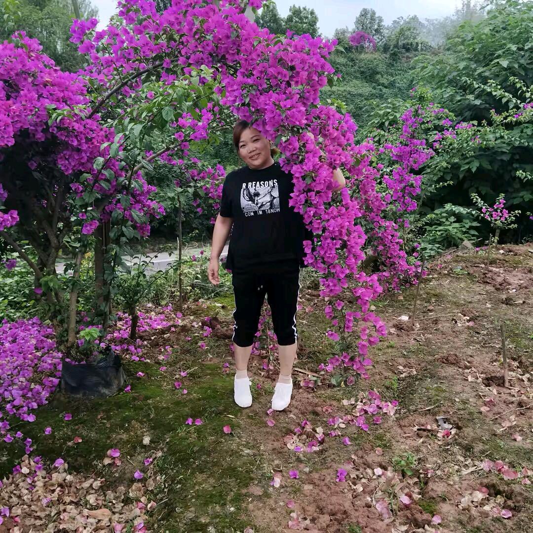 出门欢喜进门愁