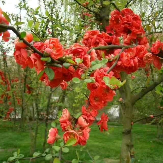 痛而不言，笑而不语！