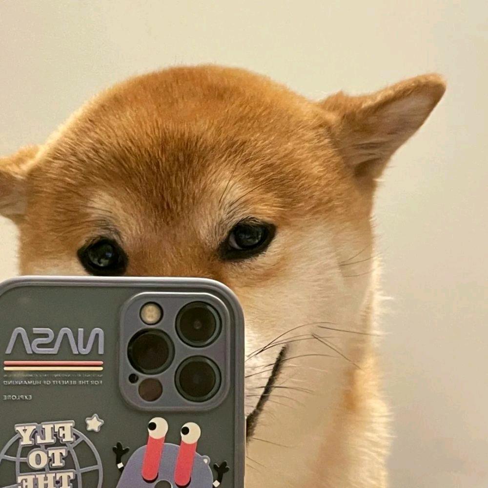 吴敌小可爱