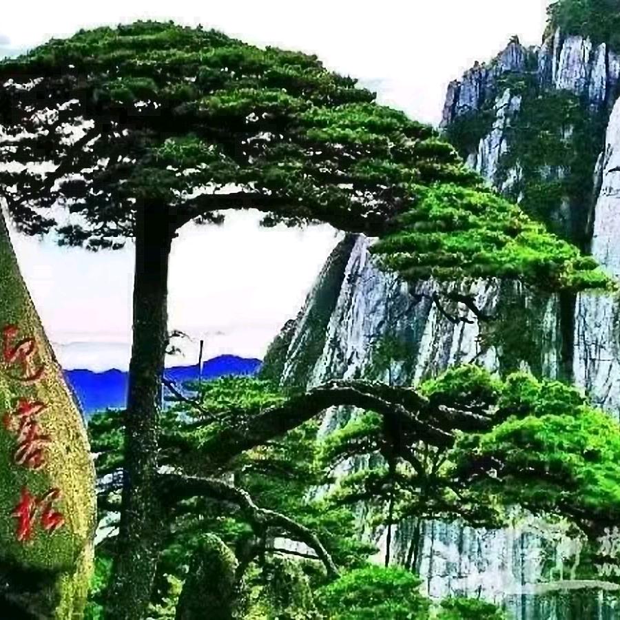 诚信