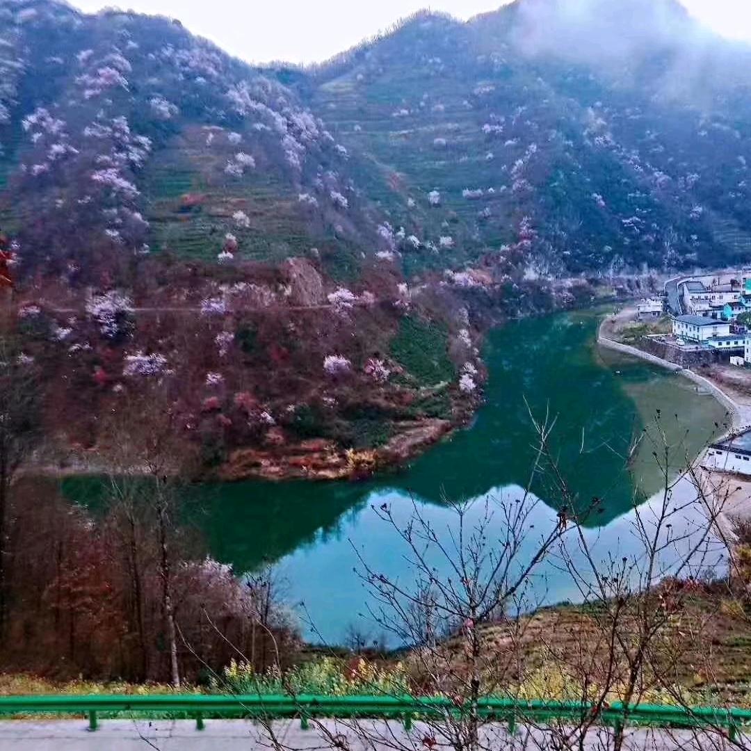 控制会议，别再回忆