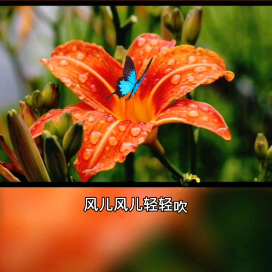 ℋღ᭄空🍒心💞菜✨࿐