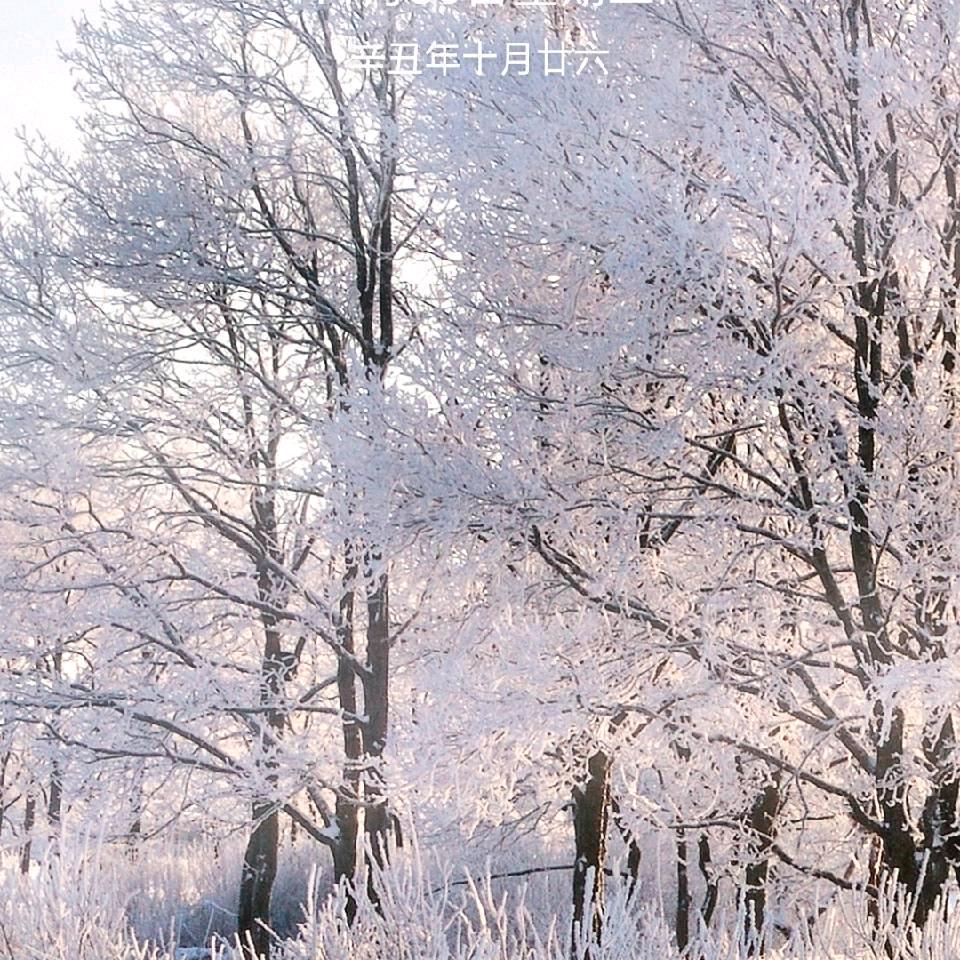 丽