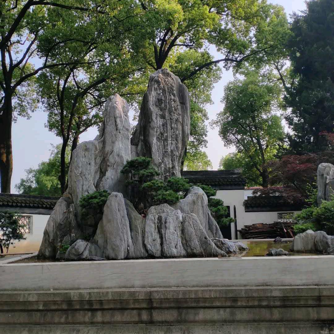 DOU苗苗