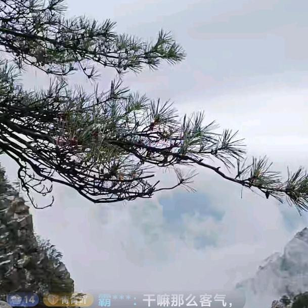 格局打开