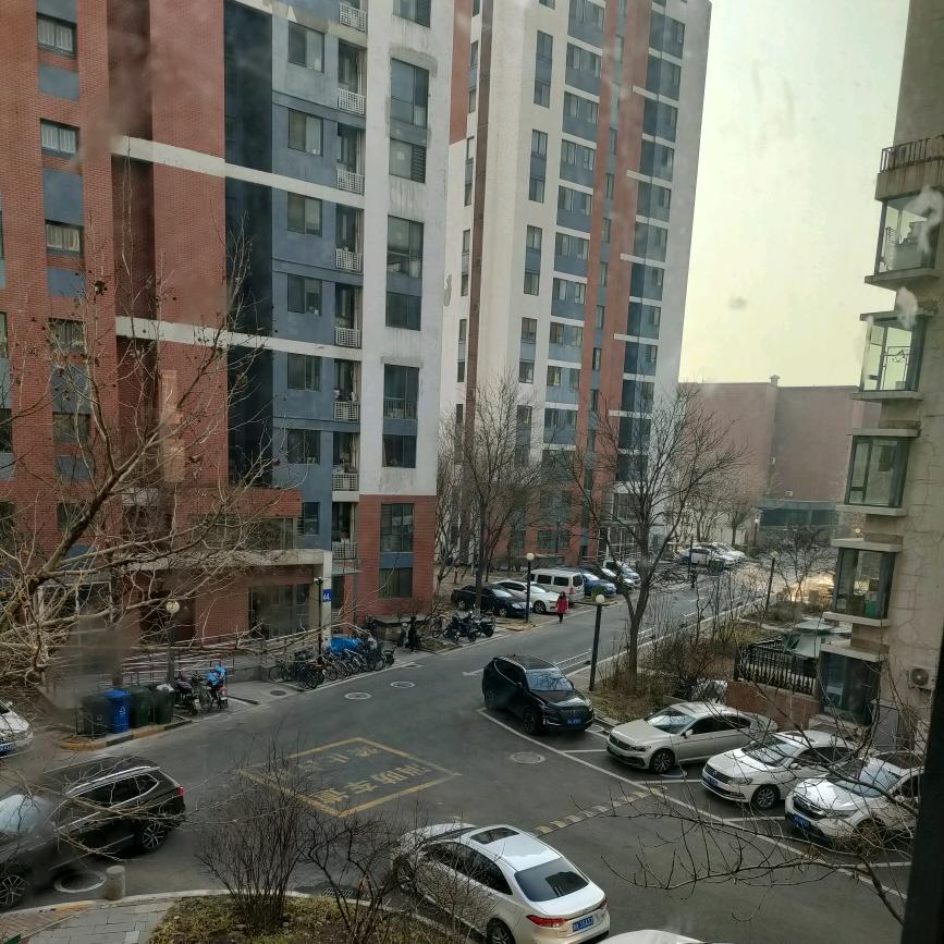 相知