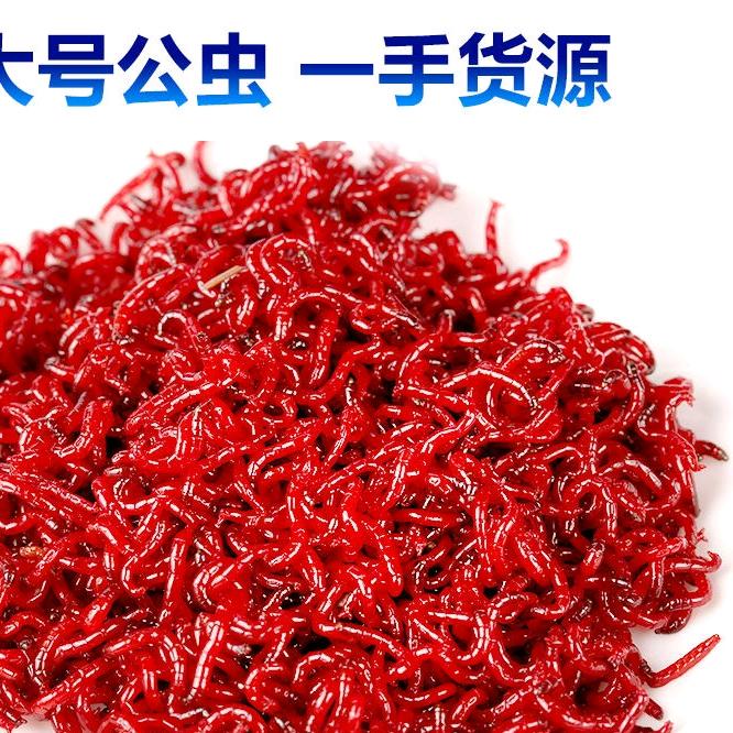 广贵渔具店