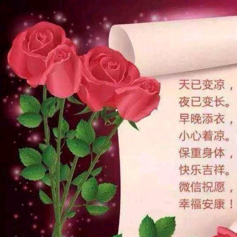 A1🇨🇳🎶荷塘月色
