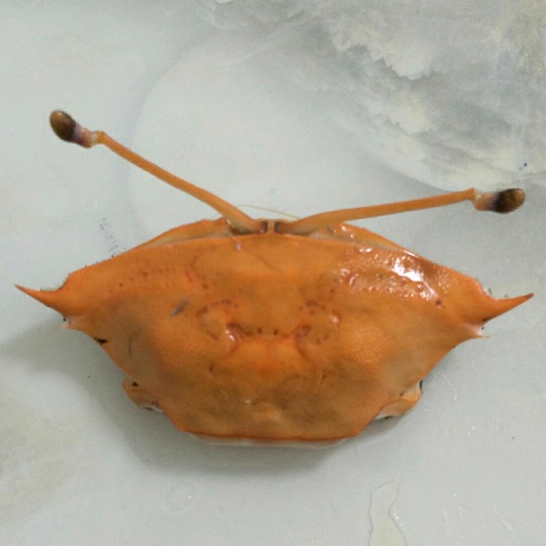 LXC带你去看海