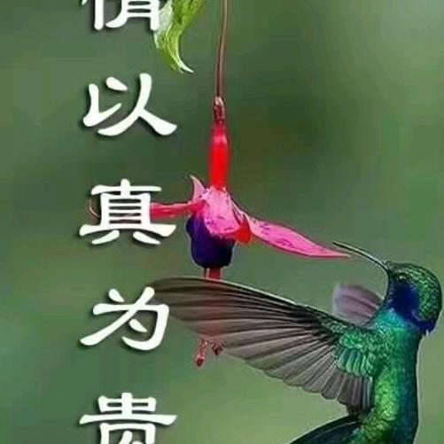 樊