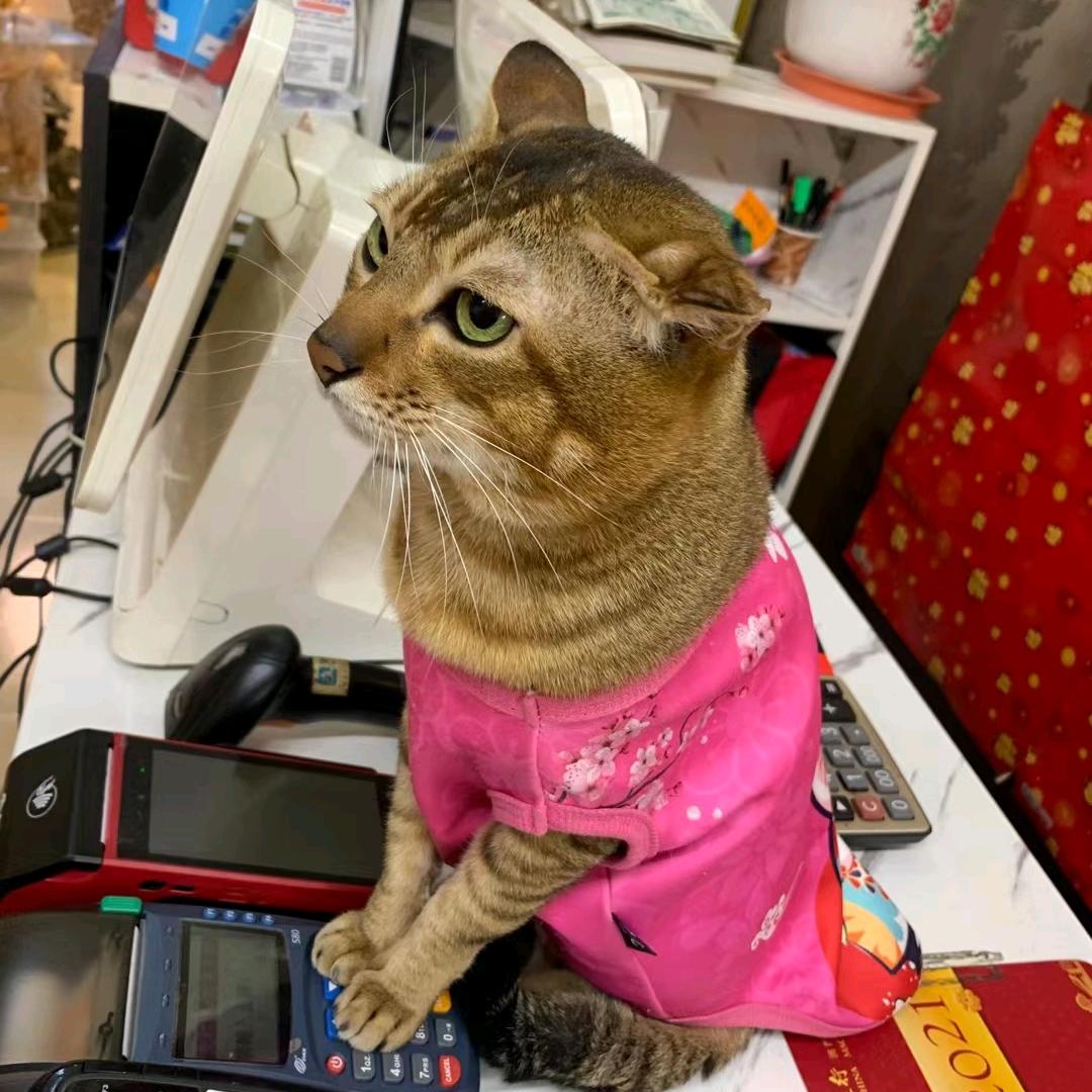 红
