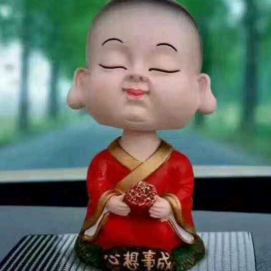 努力向💰