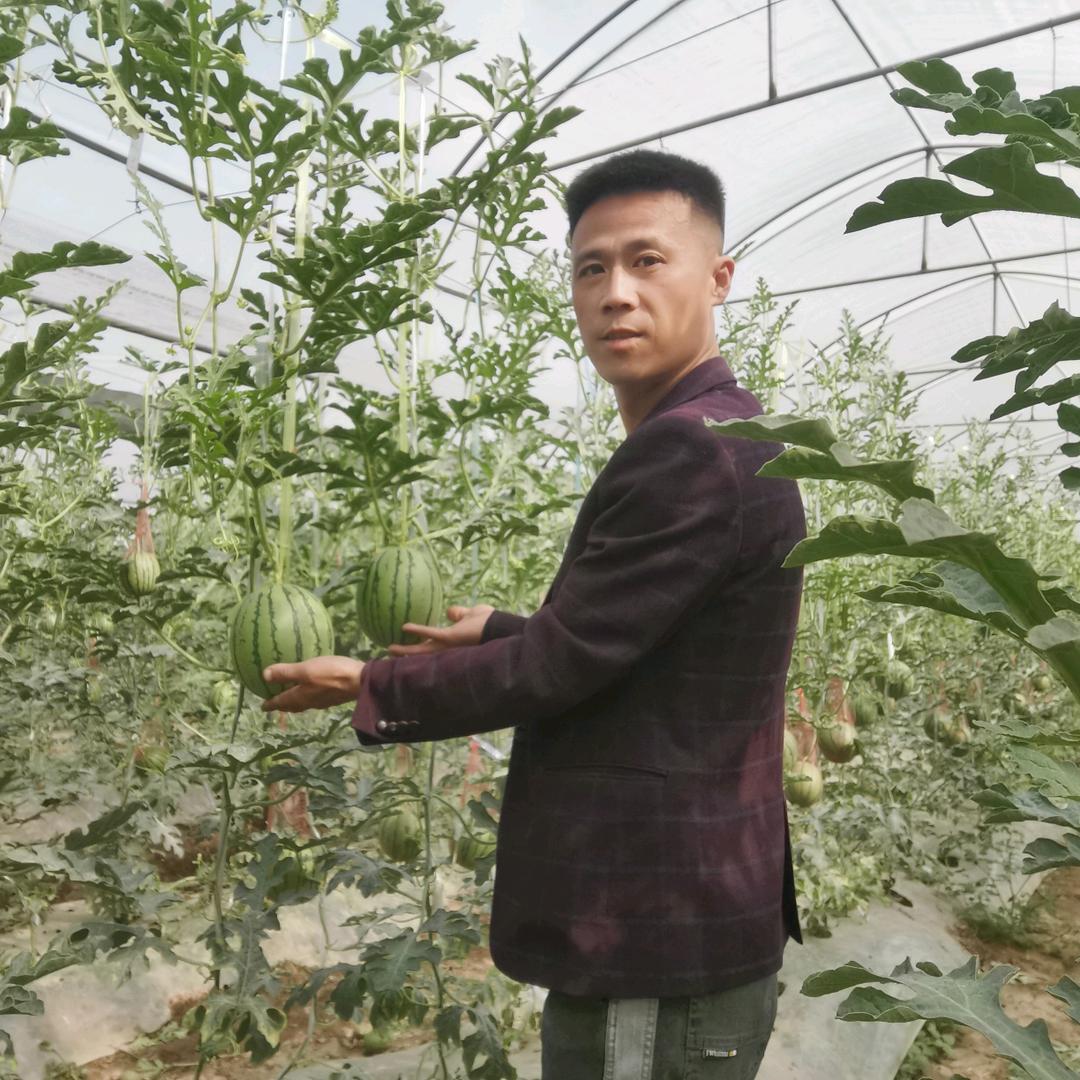 金明洋农业