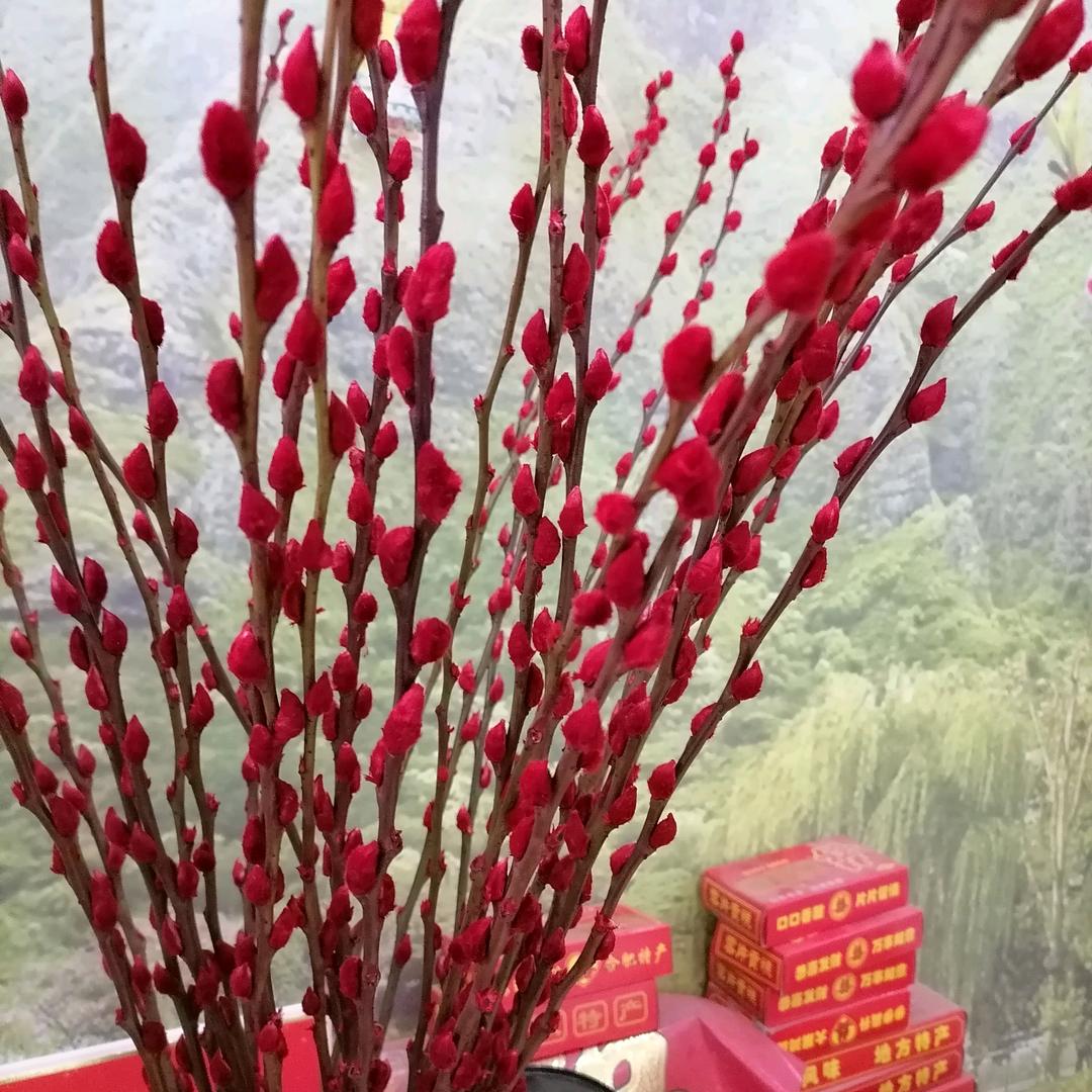 一身正气
