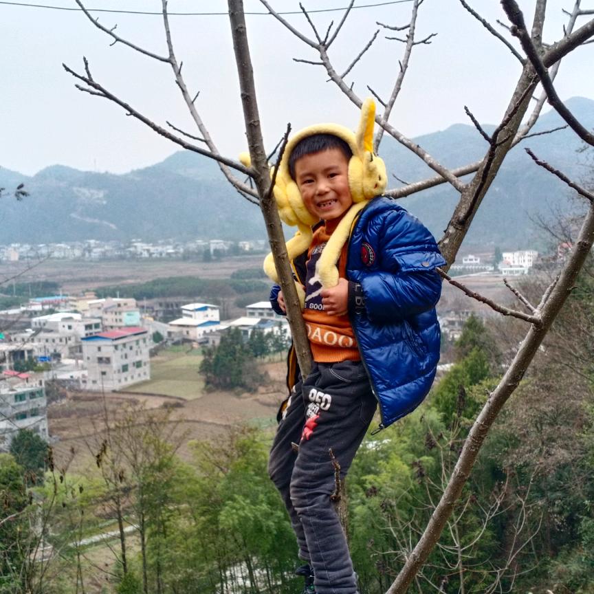 友成锅