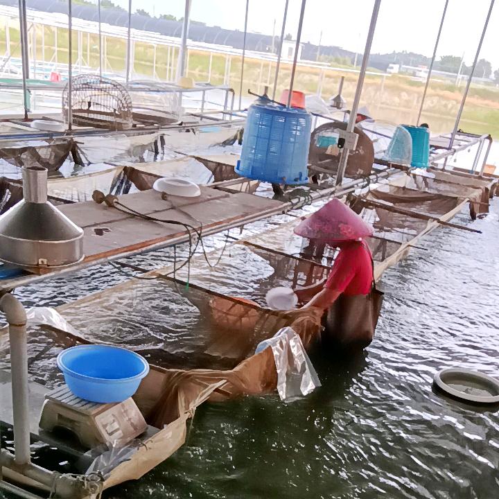 俊源水产