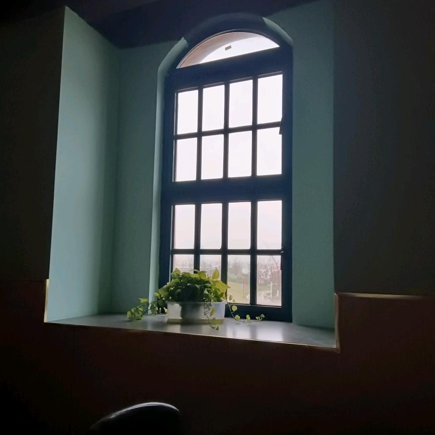 栀子花开的季节