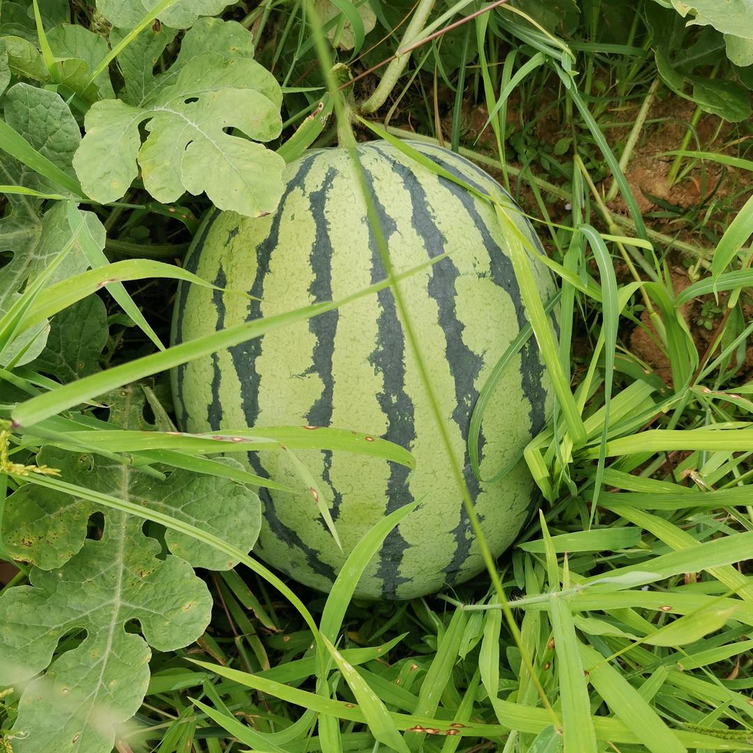 心中有目标，余生不迷茫