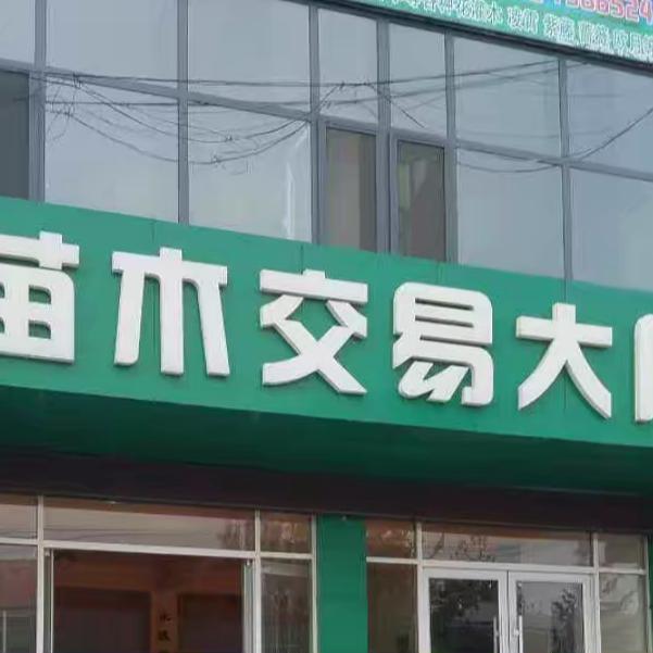 郯城苗哥（清圃专家）