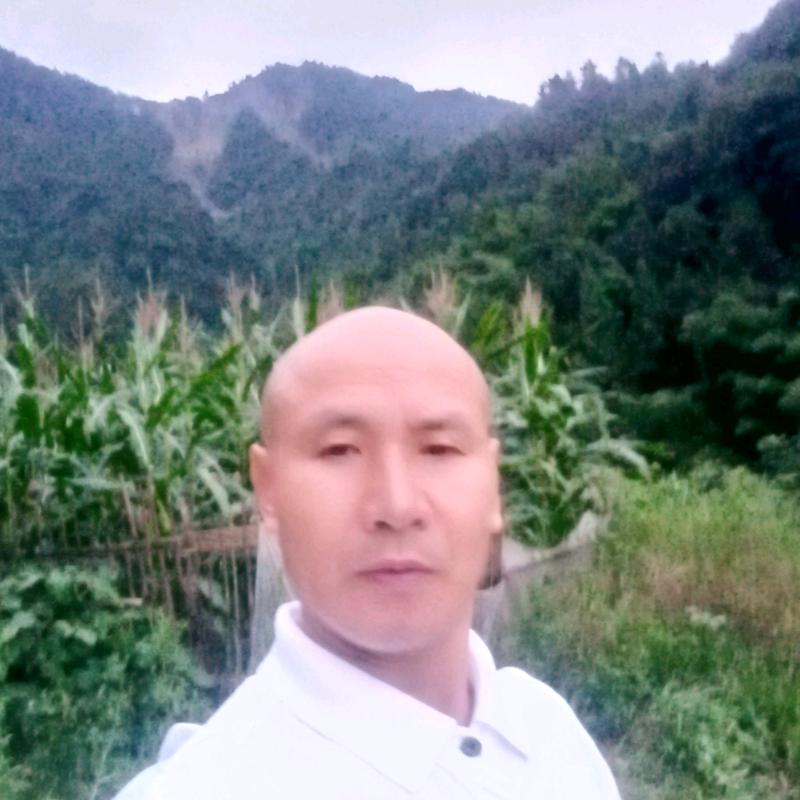 张和平