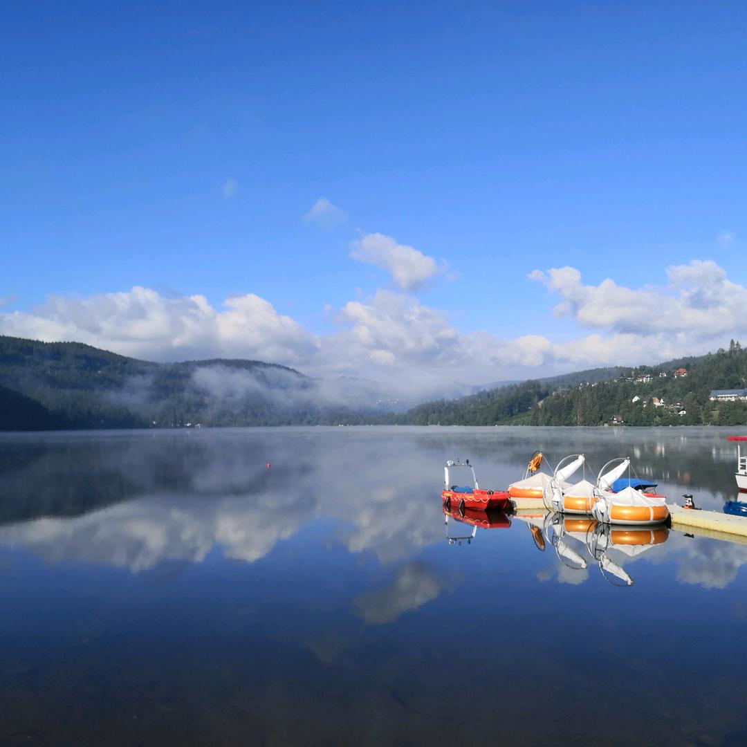 🌈 噜啦噜啦嘞🛀🏻🌈