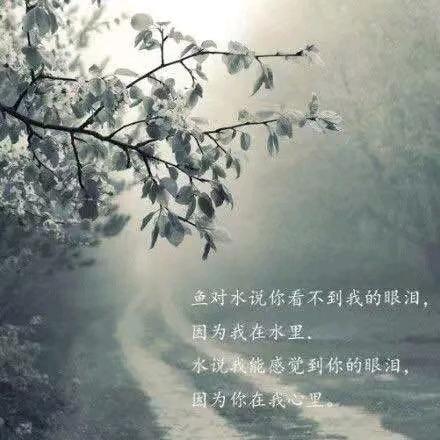 二哥