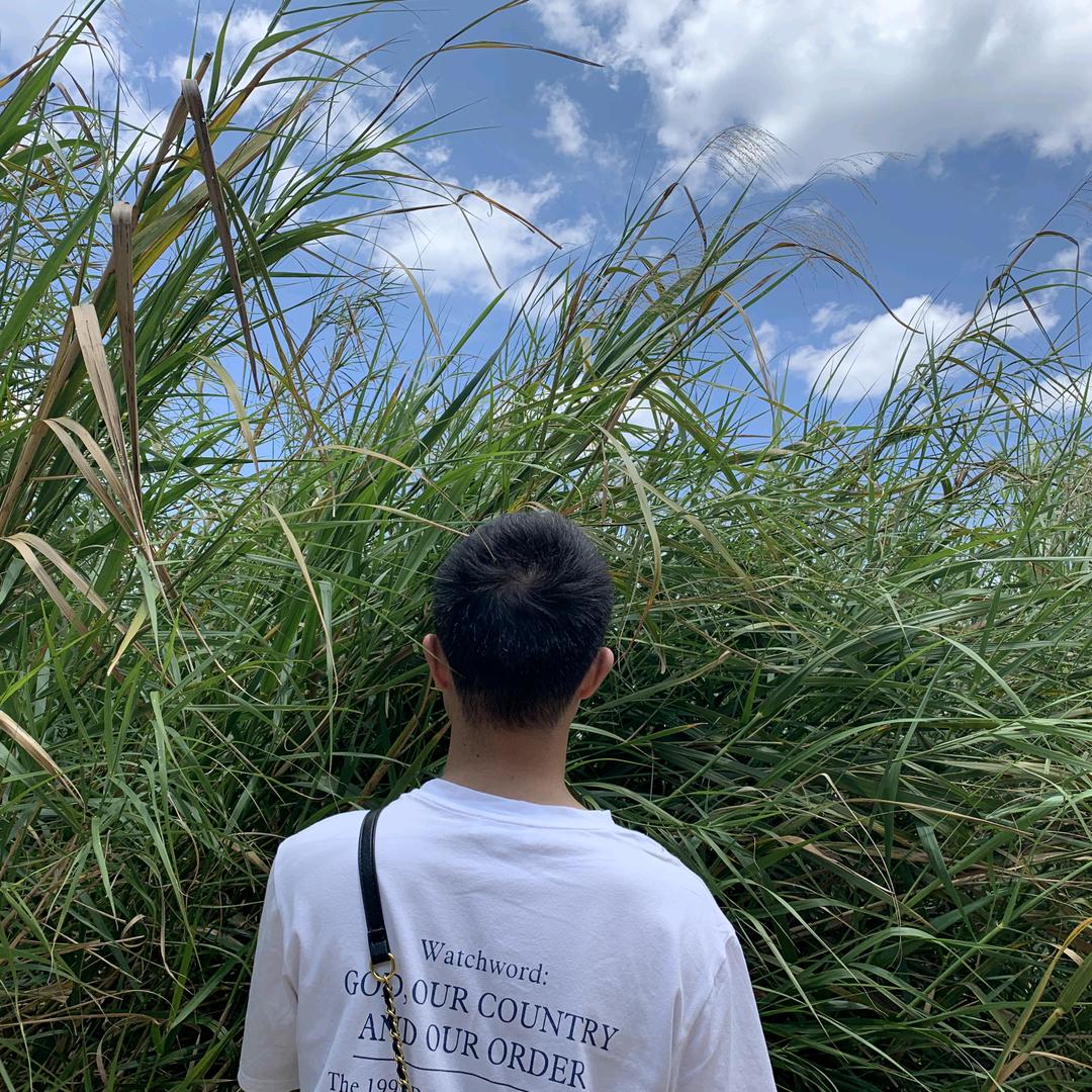 山河依旧