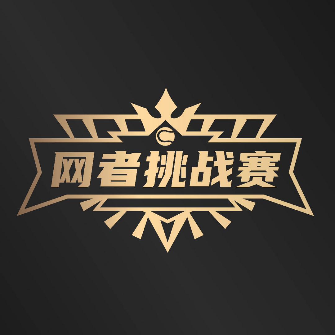 网者挑战赛