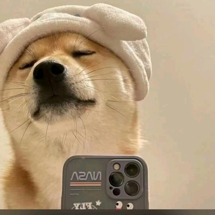 资中黄哥
