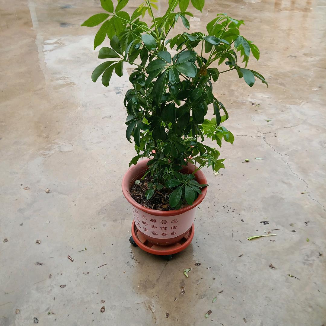 天地合一