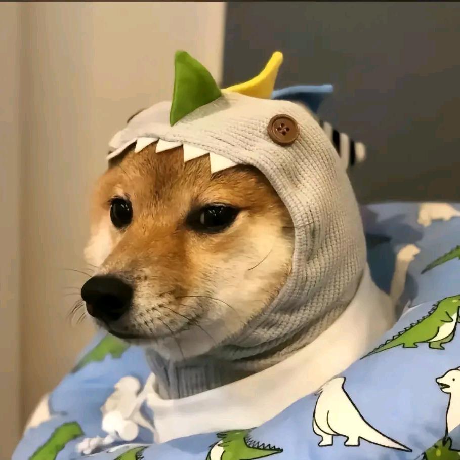 饿了垃圾都没得吃