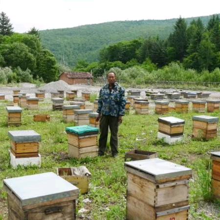 蜜中牧人张大孬