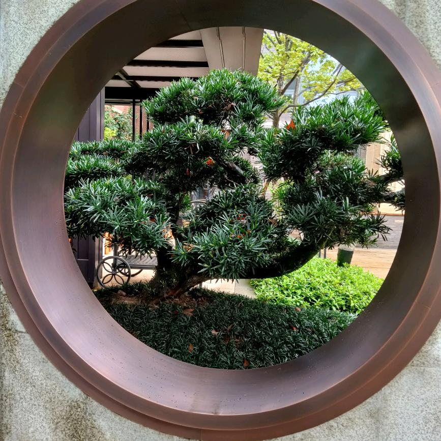 工地上的小米锅