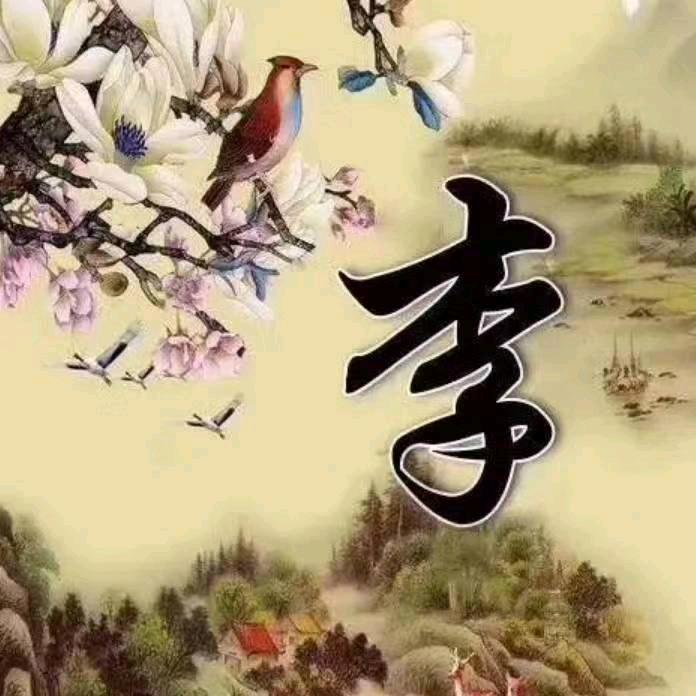 彬彬有李