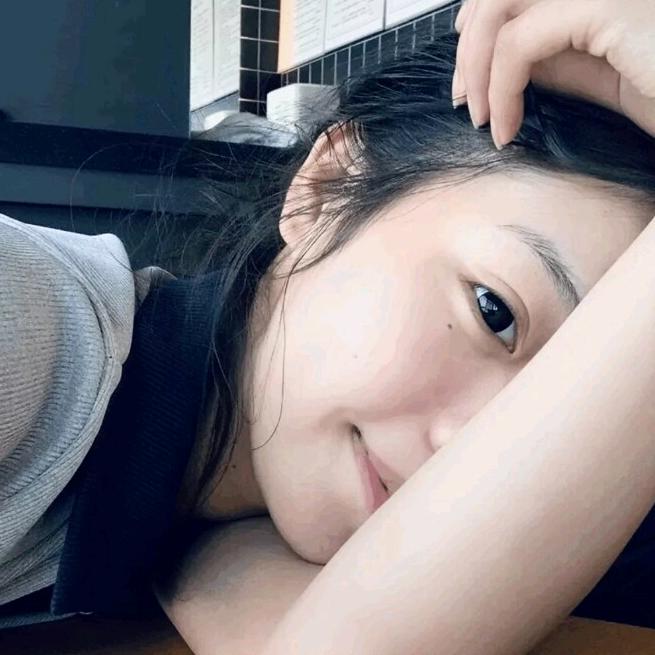 树上有只熊
