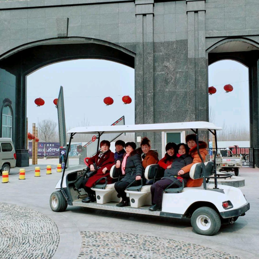飞扬