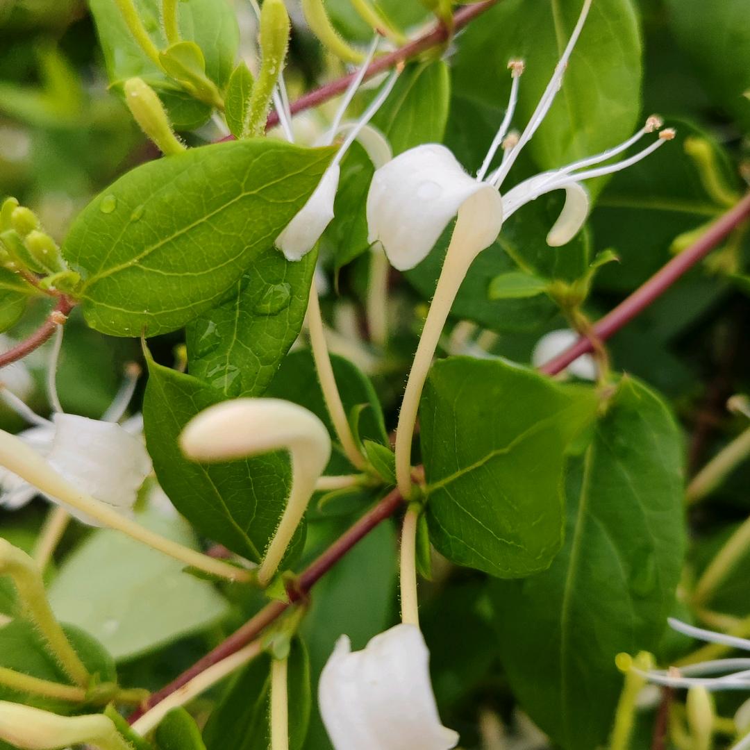 笑一笑，好彩自然来@