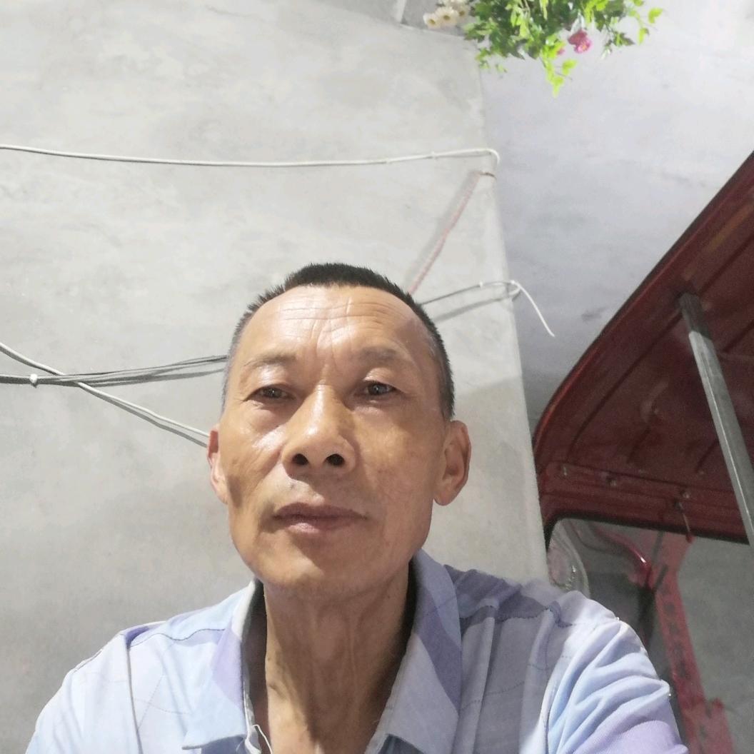 半糖青桔