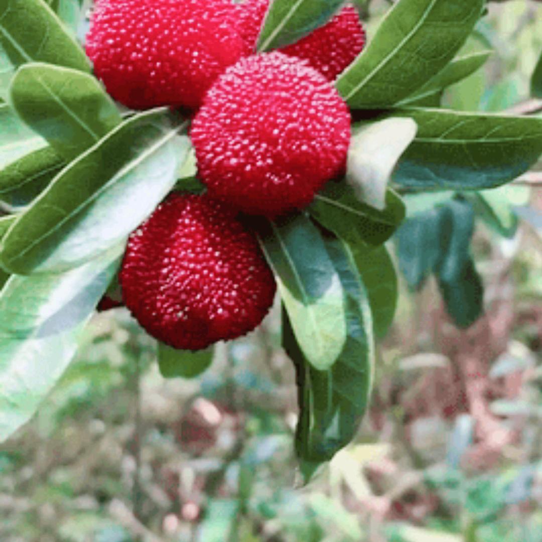 下定决心忘记你。钢筋工