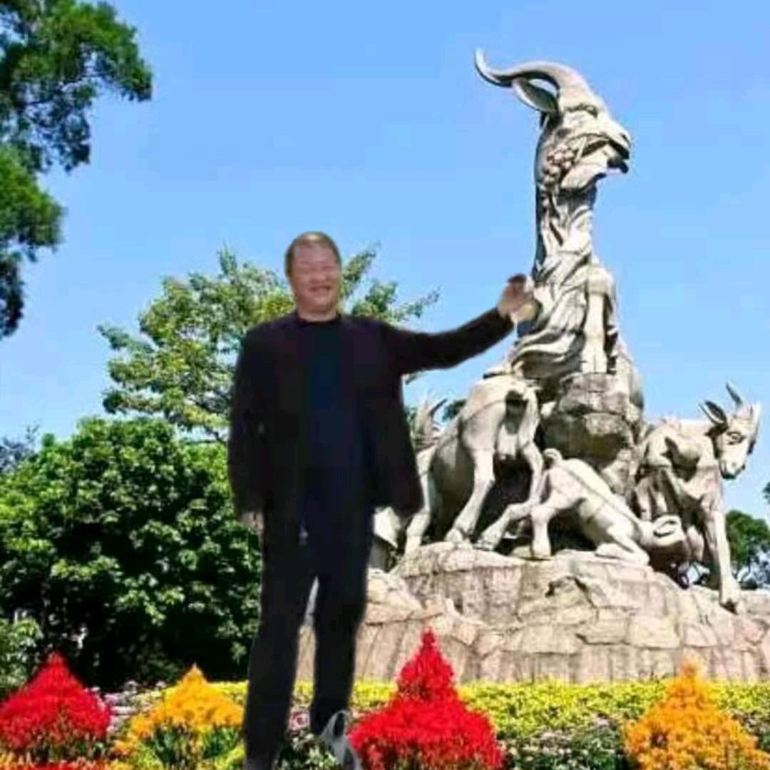 农村哥
