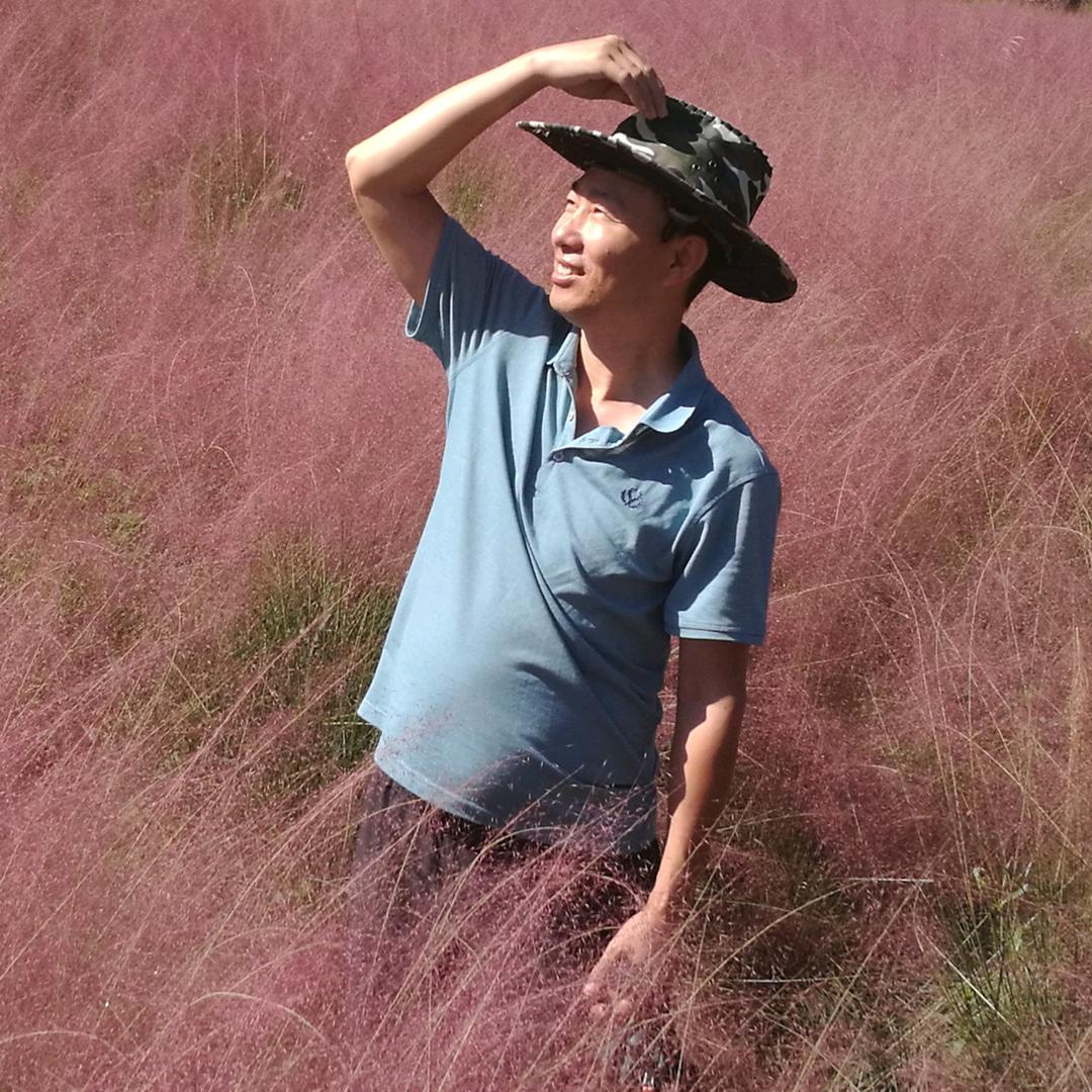 与鸿