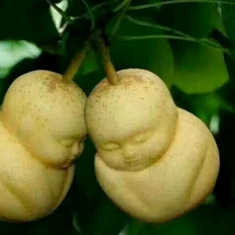 爱的守护温柔妹妹🍒️🍒️