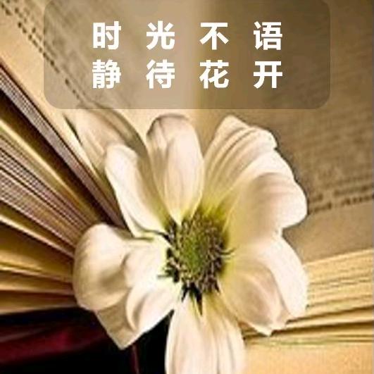 寒星