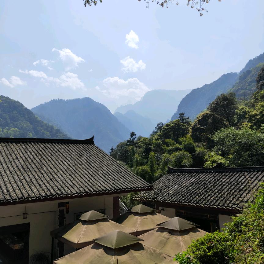 @tangqin🍃欢囍