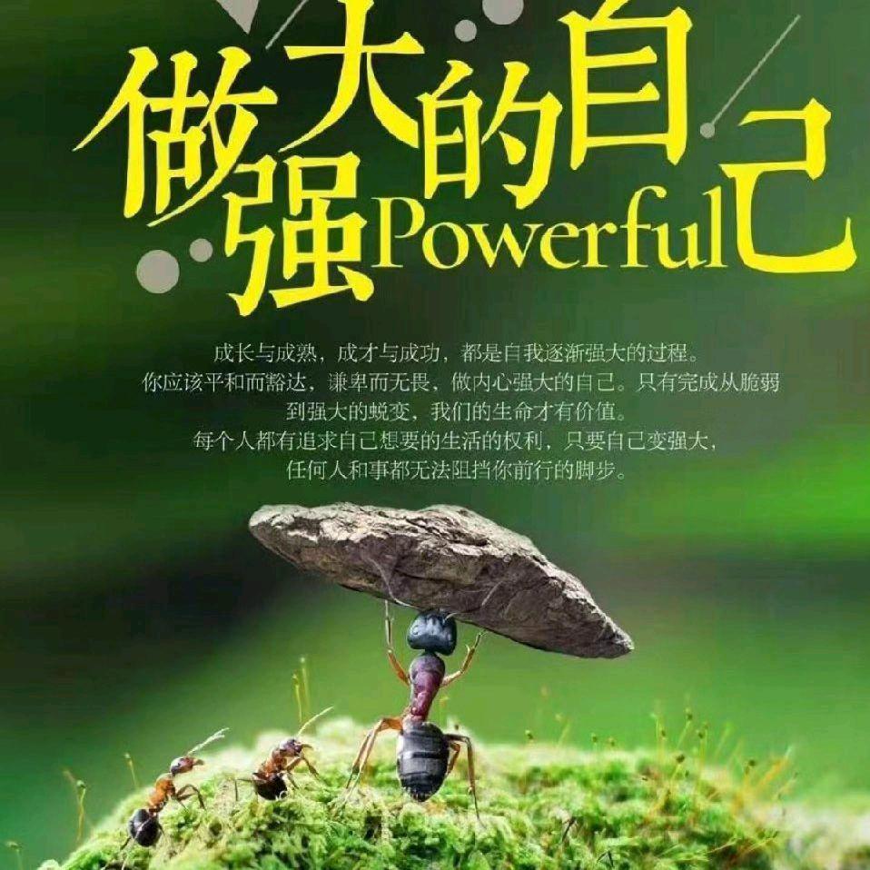 万秋含
