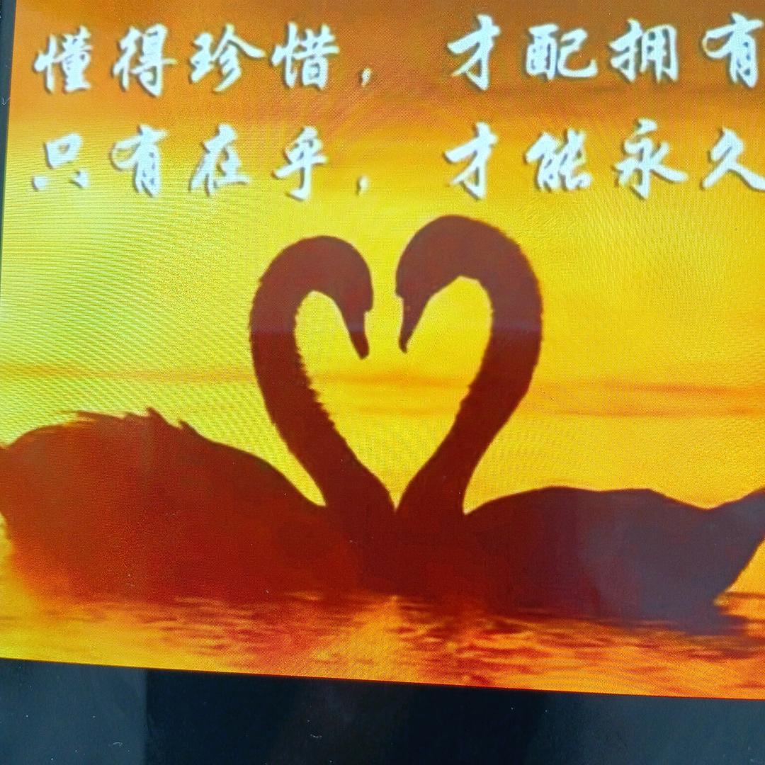 上诲爆鱼