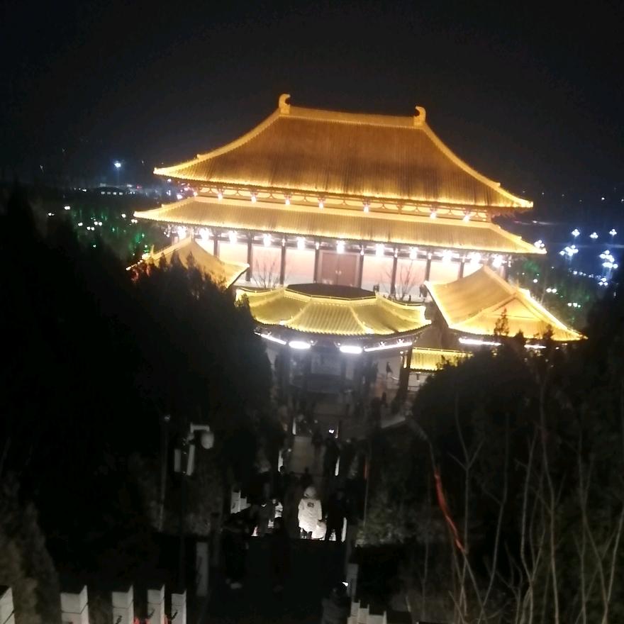 涛涛哥