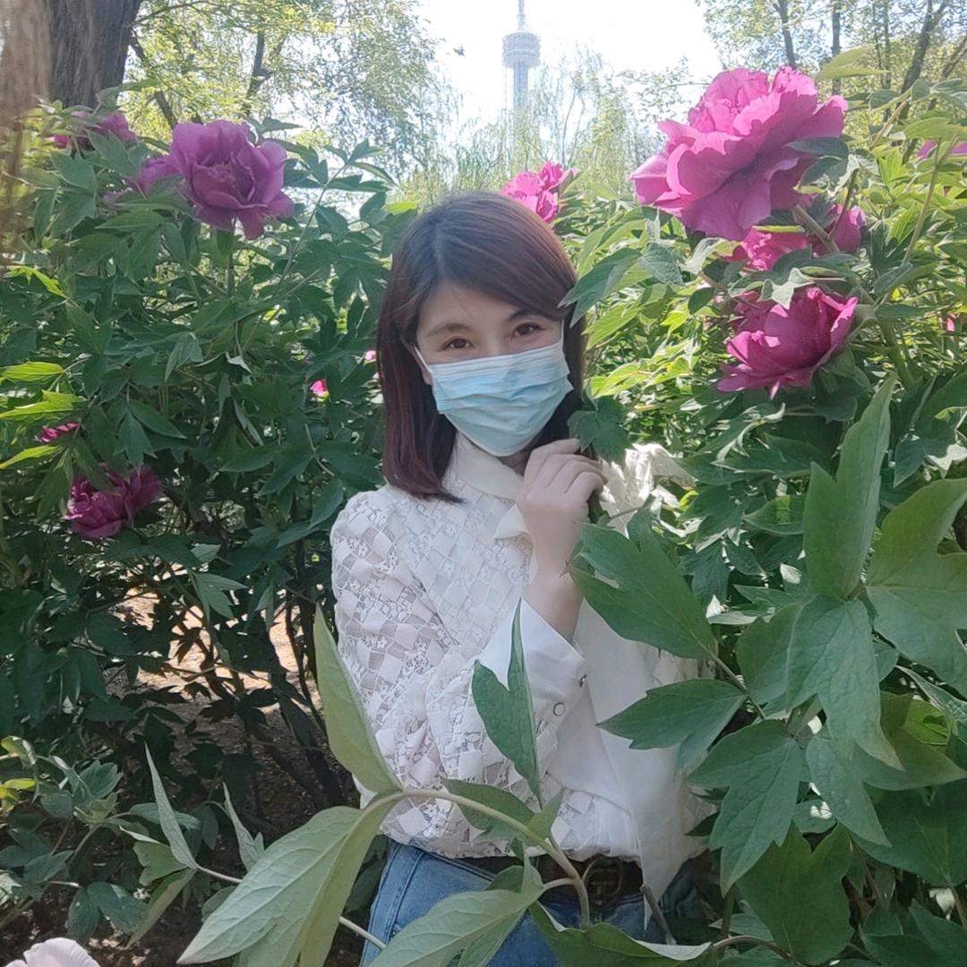 紫汐