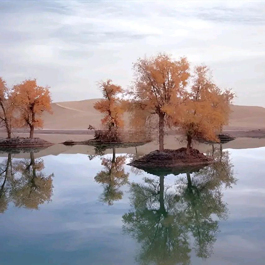 - ̗̀(๑ᵔ⌔ᵔ๑)望_